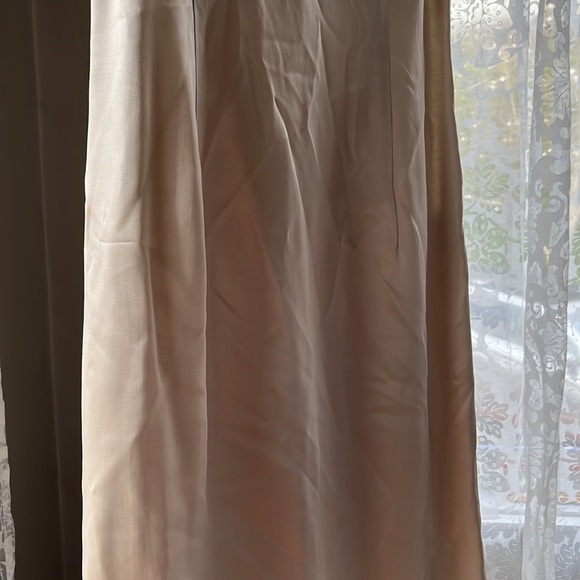 Champagne Coloured Slip - Picture 2 of 4